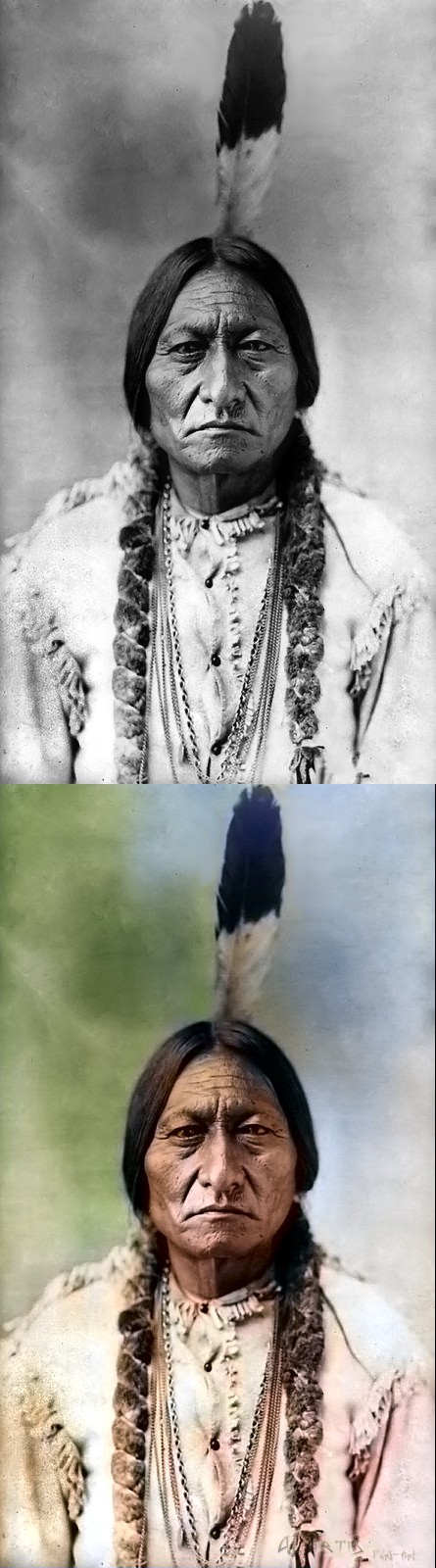 Sitting Bull 1885